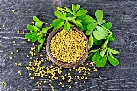 Fenugreek: A Natural Way to Boost Your Health