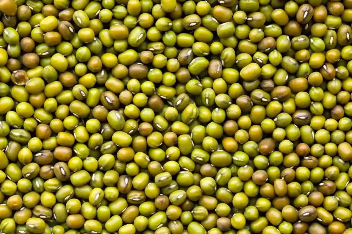 Green Gram: Nutritional Benefits